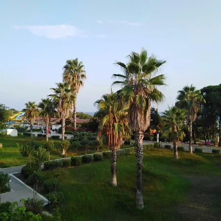 Yali Turizm Orsem 시데